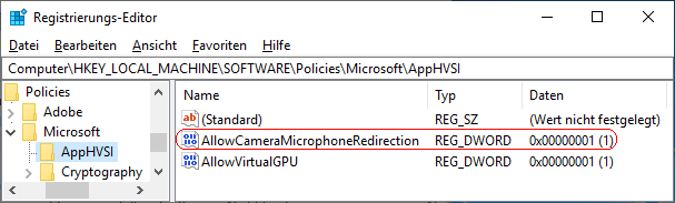 AllowCameraMicrophoneRedirection