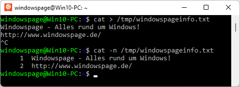 cat > /tmp/windowspageinfo.txt