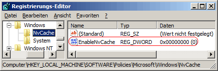 EnableNvCache