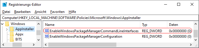 EnableWindowsPackageManagerCommandLineInterfaces