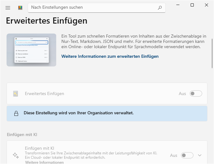 "Erweitertes Einfügen" ("Advanced Paste")