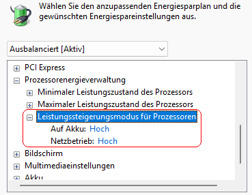 Energieoptionen